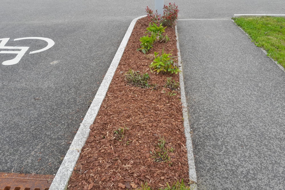 Hausservice und Gartenservice aus Ottnang am Hausruck