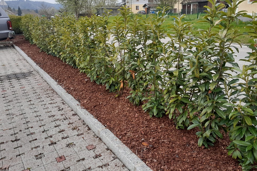 Hausservice und Gartenservice aus Ottnang am Hausruck