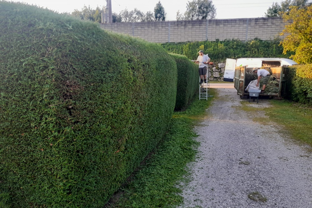 Hausservice und Gartenservice aus Ottnang am Hausruck