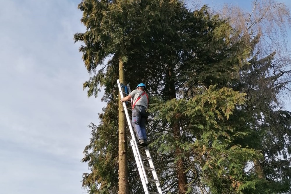 Hausservice und Gartenservice aus Ottnang am Hausruck
