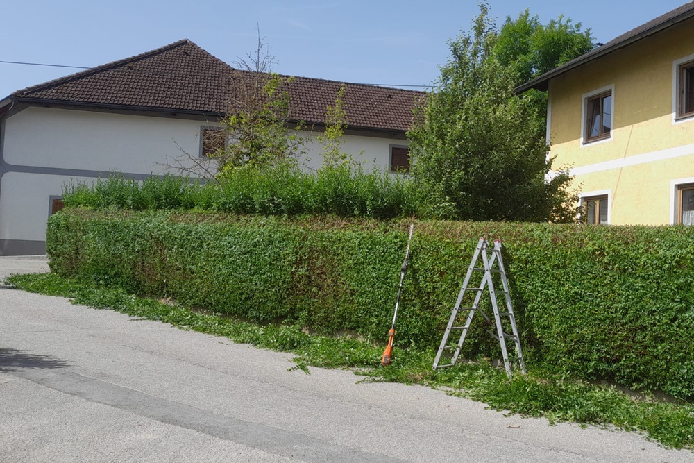 Hausservice und Gartenservice aus Ottnang am Hausruck